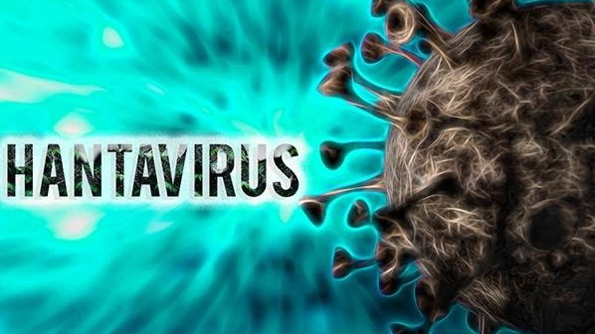 Hantavirüsle ilgili yeni açıklama