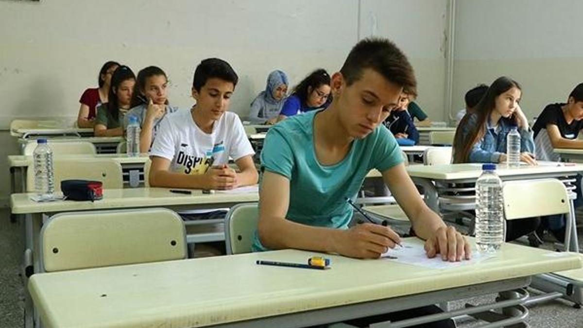 LGS soru kitapçığı | MEB LGS örnek soru kitapçığı yayımladı! İşte LGS örnek sorular