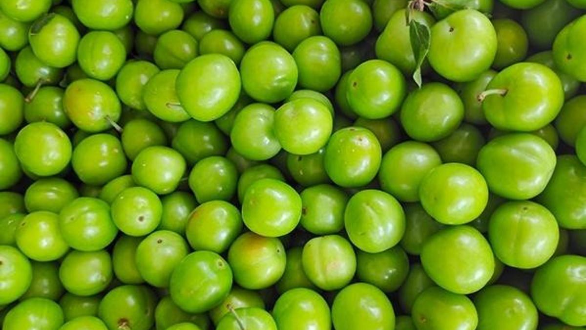 Altınla yarışıyordu: Can eriğin kilosu 50 liraya düştü