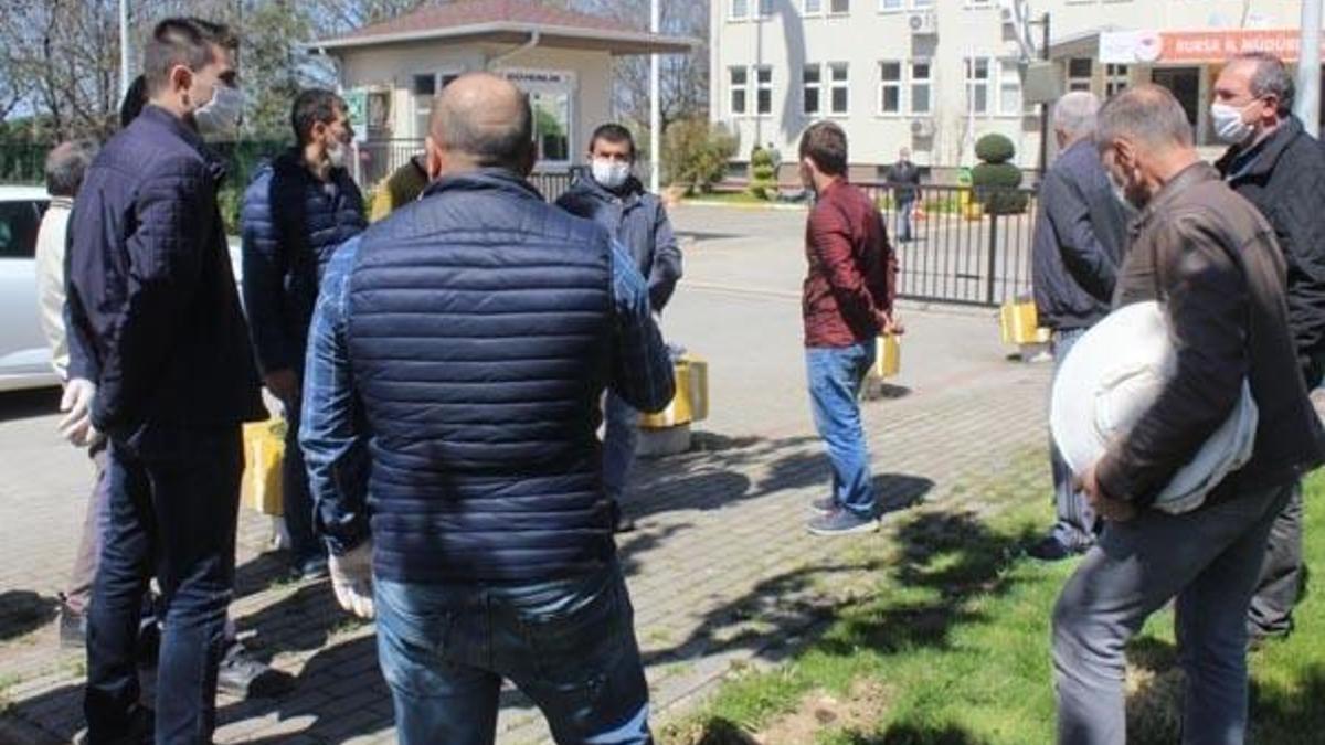 Bursa'da binlerce arının şoke eden ölümü!