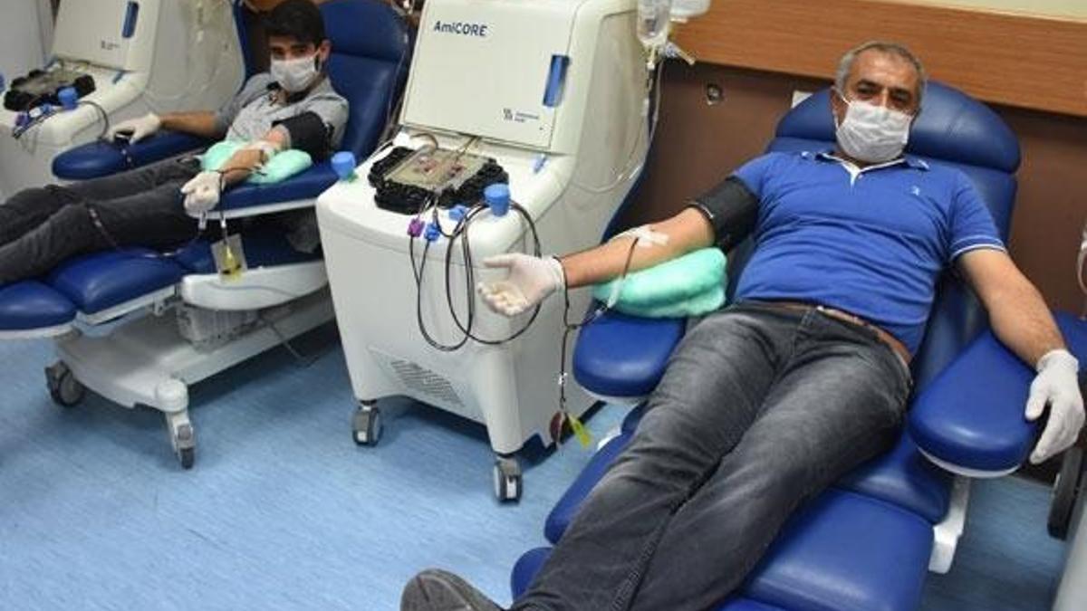 Corona virüsü yenen baba-oğuldan, plazma bağışı