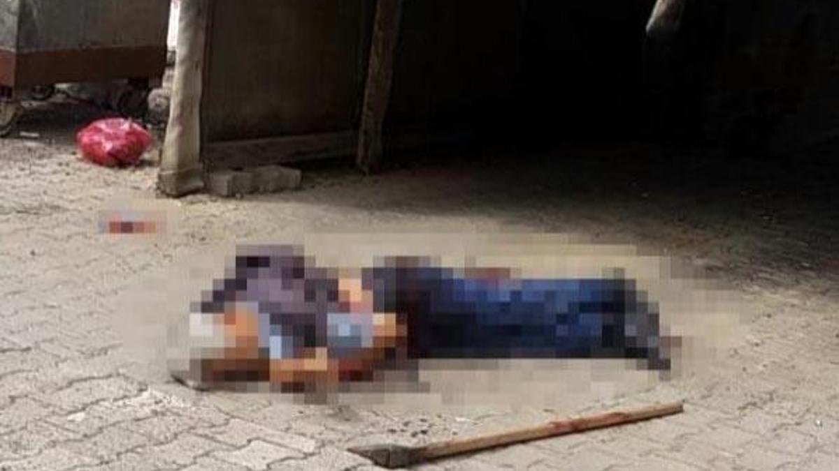 Arazi kavgasında kan aktı! Kardeşini ve yeğenini öldürdü, yengesini yaraladı
