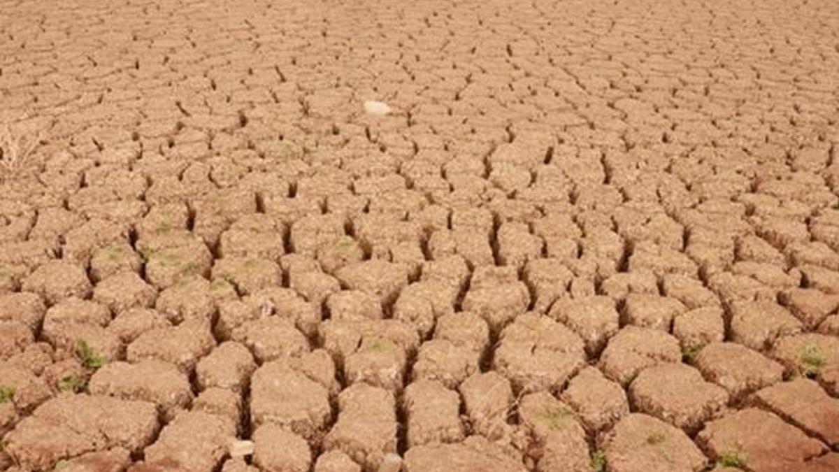 36 ülkeyi işaret etti ve açıkladı: Felaketle karşı karşıyayız