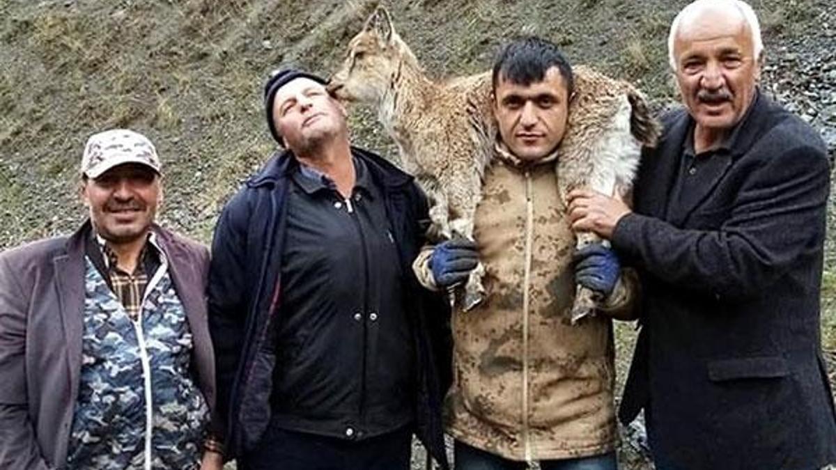 Yaralı dağ keçisini 5 kilometre sırtında taşıdı
