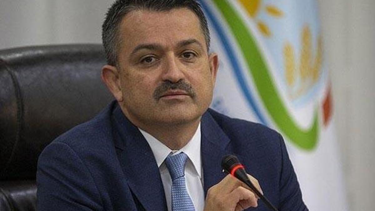Bakan Pakdemirli garanti verdi ve açıkladı: Gerekirse biz alırız
