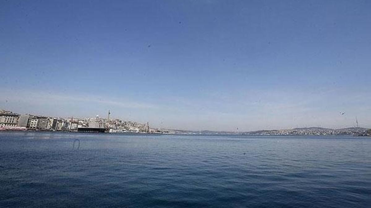 'Deniz kirliliği azalırken biyoçeşitlilik artacak'