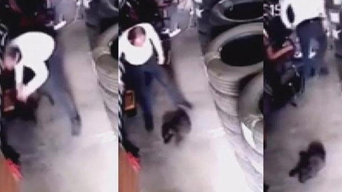 Yavru köpeği yere vurarak öldürmüştü! Yakalandı