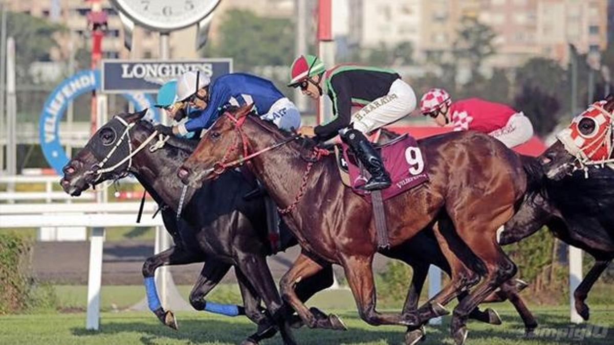 TJK, Ankara çıkarması yaptı