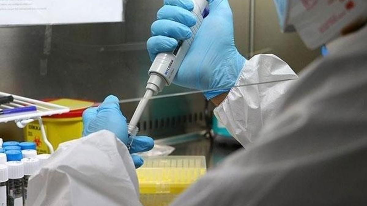 ABD'den corona virüs araştırması: İnsan yapımı...