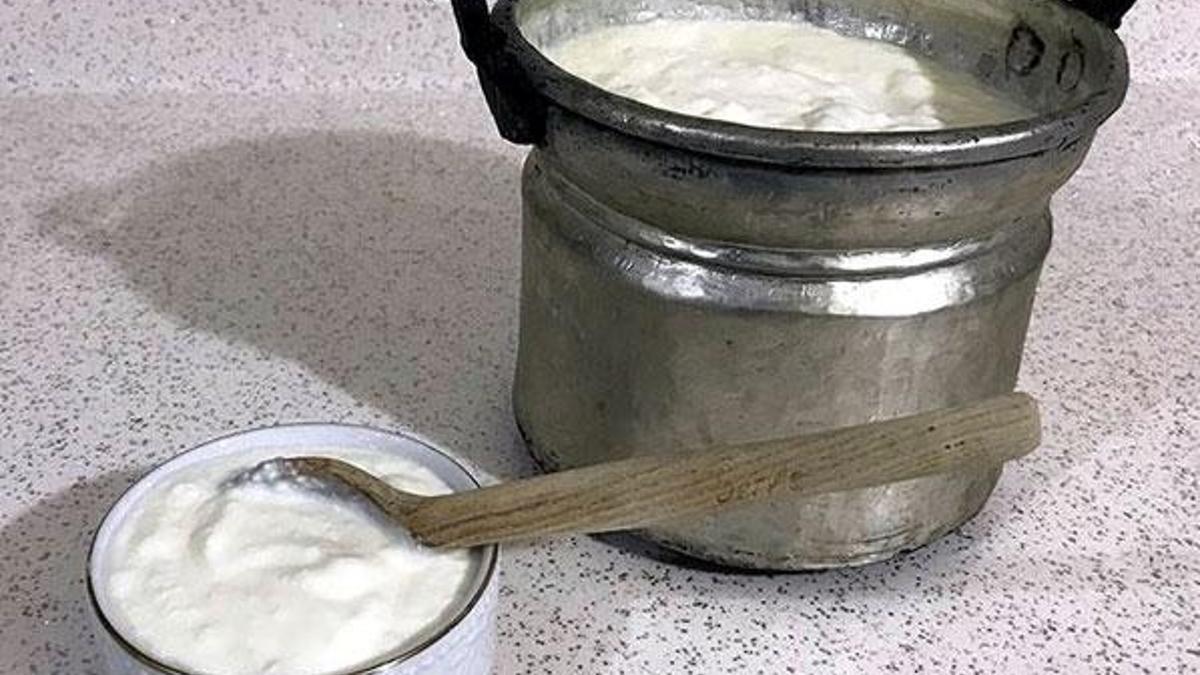 'Sahur ve iftarda probiyotik gıdaları tüketmeyi ihmal etmeyin' önerisi