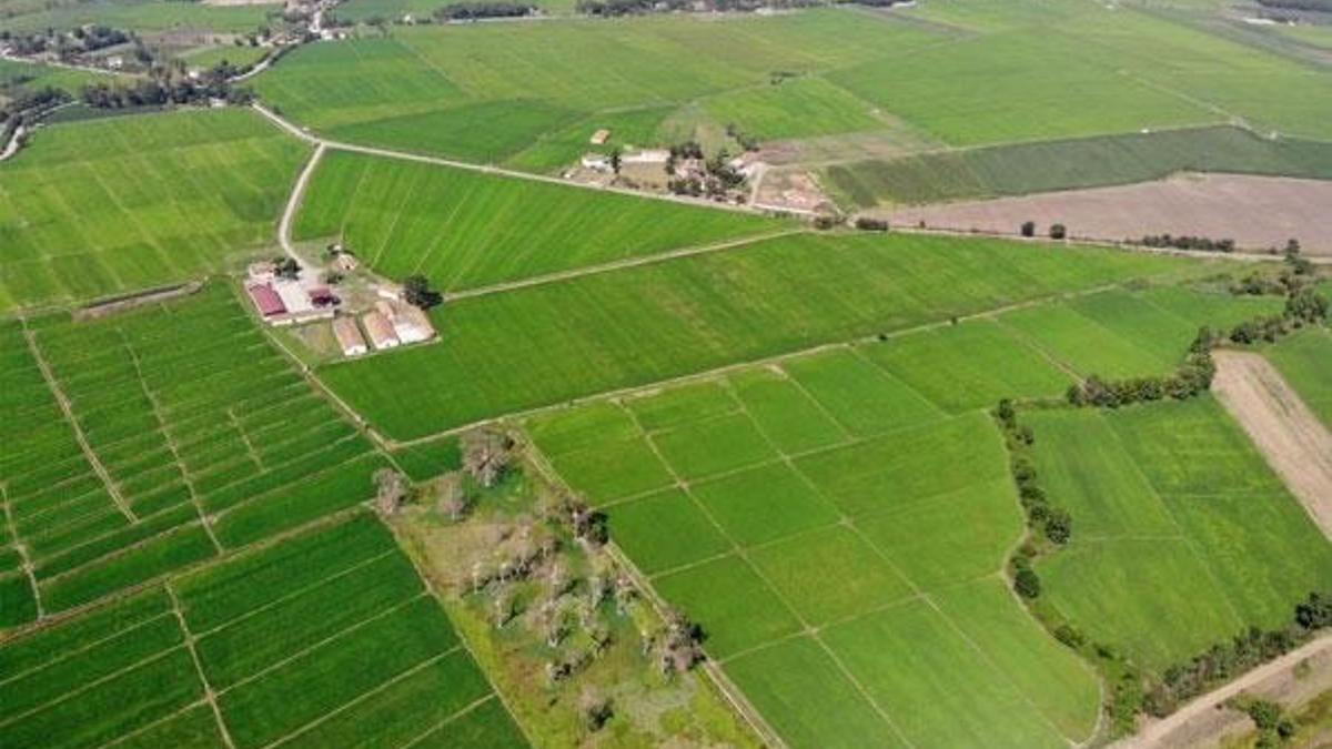 Bakan Pakdemirli: 25 adet sulama projesi hayata geçirilecek
