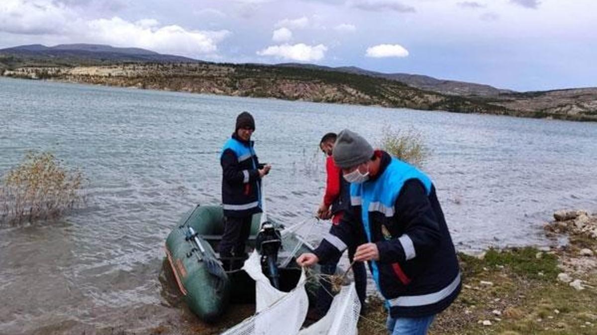 ABD'linin baraj gölüne bıraktığı balıklar bulunamadı