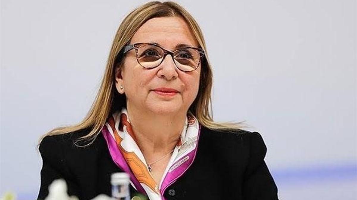 Bakan Pekcan: Tedbirler alındı, giriş işlemleri başlatıldı