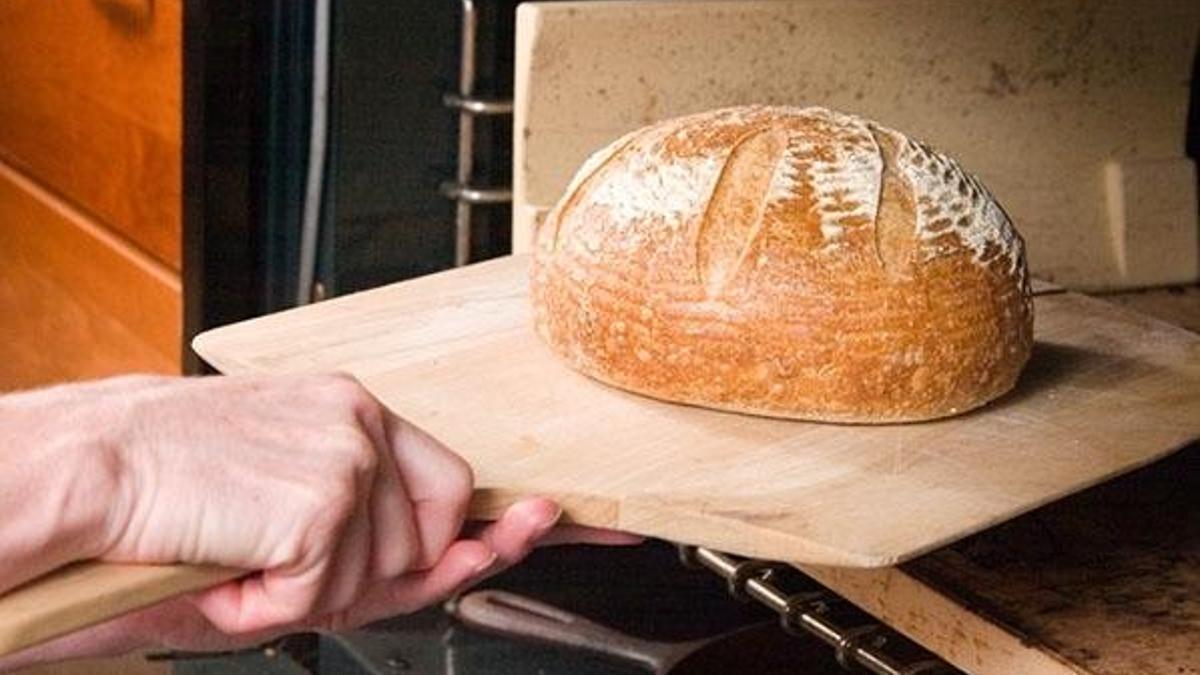 Ekşi mayalı ekmek bağışıklığı güçlendiriyor