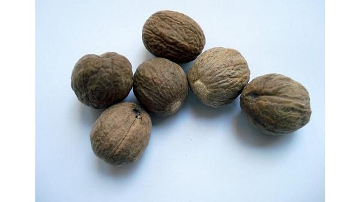Muskat nedir? Muskat nasıl kullanılır? Muskatın faydaları...