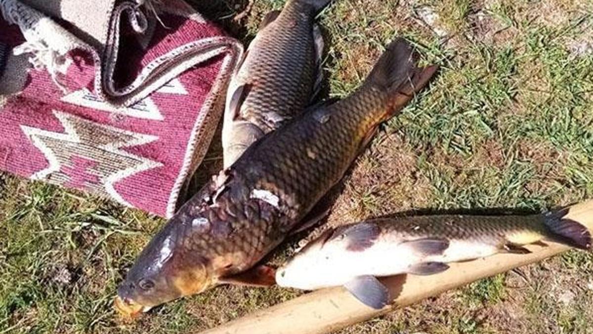 Beyşehir Gölünde yasa dışı avlanmaya 46 bin 800 lira ceza