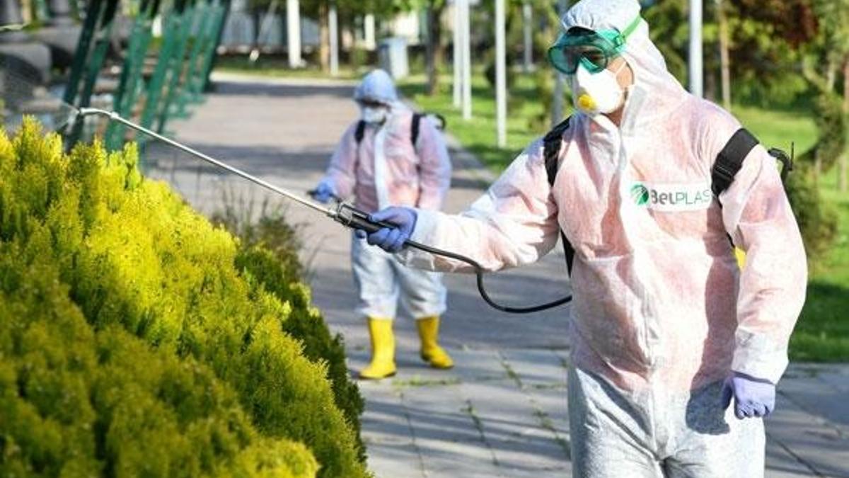 Ankara’da sinek ve haşerelere karşı ilaçlama