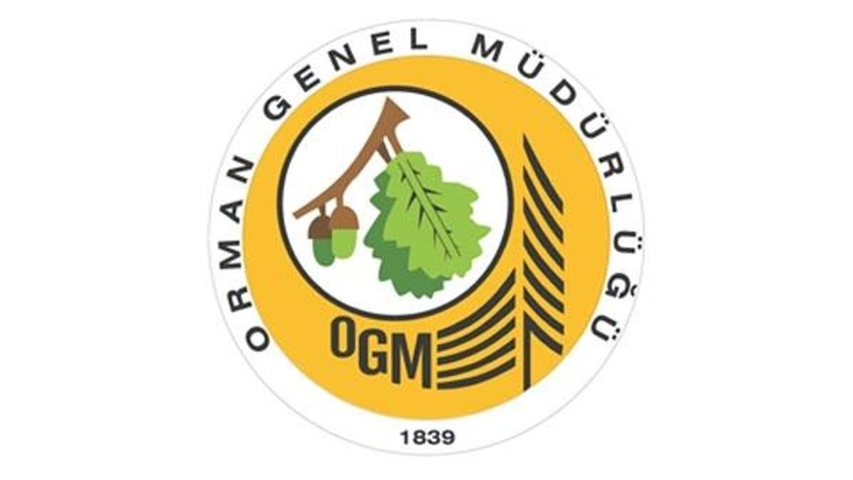 Orman Genel Müdürlüğü personel alımı ilanı verdi - OGM KPSS şartsız personel alımı şartları nelerdir, başvuru nasıl yapılır?