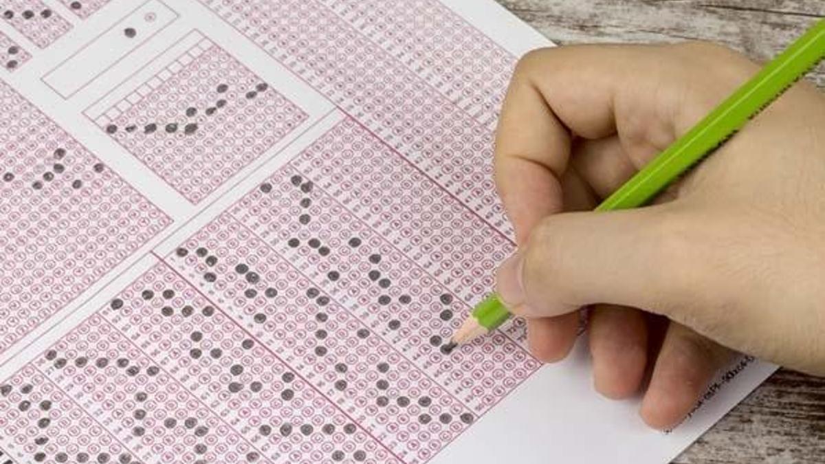 ÖSYM Tarım Bakanlığı personel alımı 2020 başvuru şartları - KPSS 2020/7 tercih kılavuzuna göre Tarım Orman Bakanlığı personel alımı