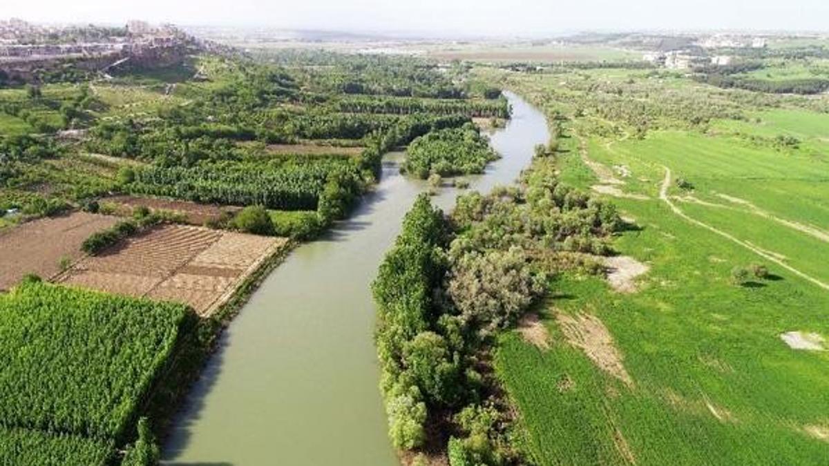 Kullanımı artan temizlik ürünleri, sudaki canlıları tehdit ediyor