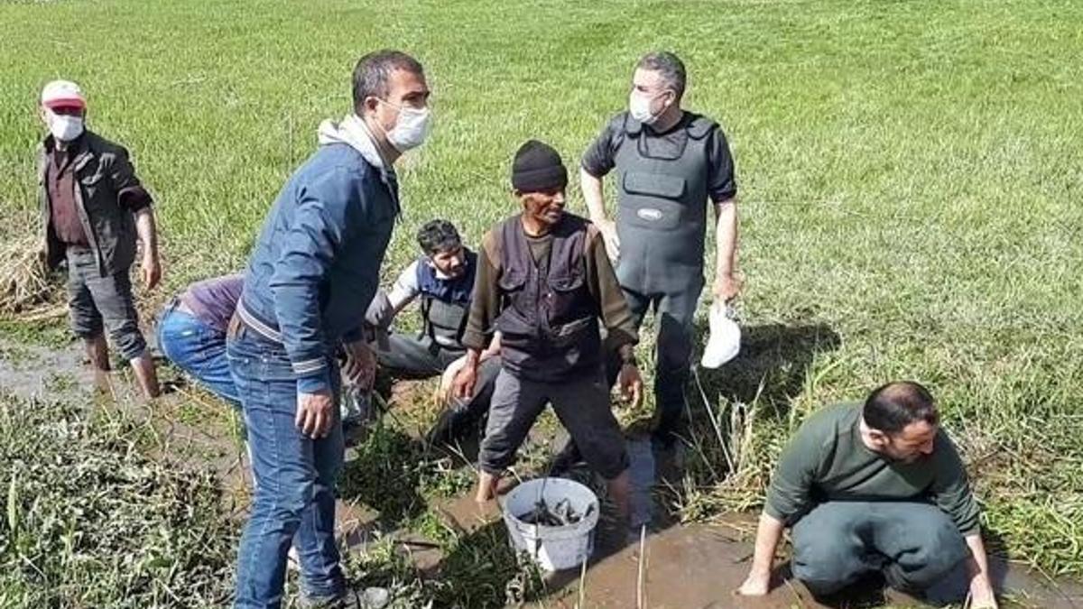 Susuz kalan 3 ton balık için seferber oldular