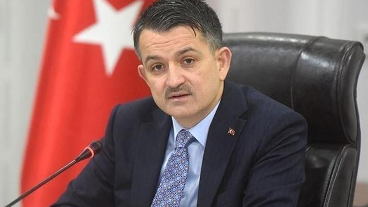 Ilısu Barajı'nda elektrik üretimi yarın başlıyor