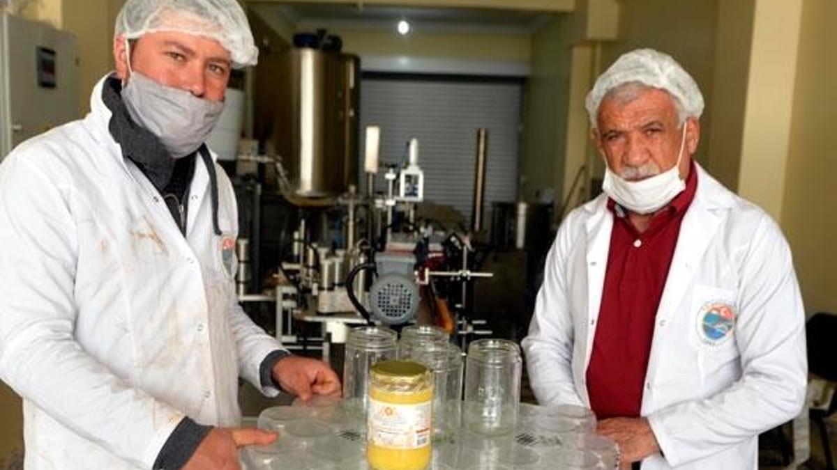 Ekolojik dengenin odağındaki hayvan: Bal arısı