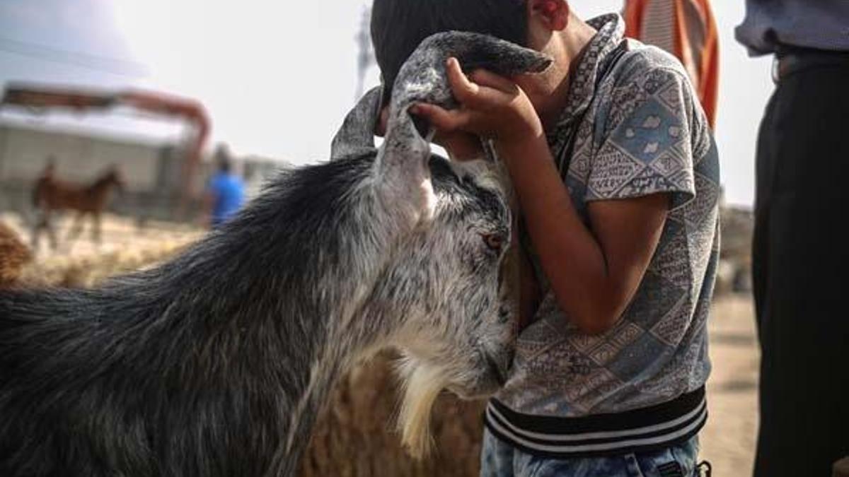 Kurban bayramı tarihi 2020 takvim – 2020 kurban bayramı tatili ne zaman? Kurban Bayramı ne zaman, hangi ayda ve günde?