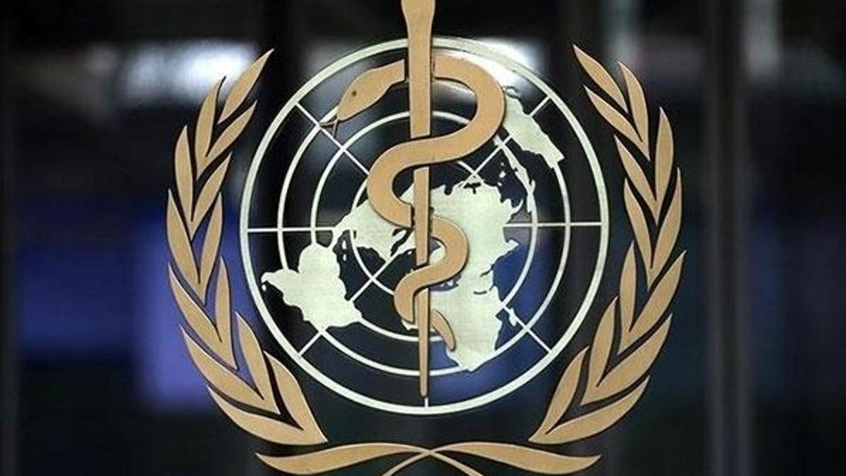 Çin liderinin eşi DSÖ iyi niyet elçisi çıktı