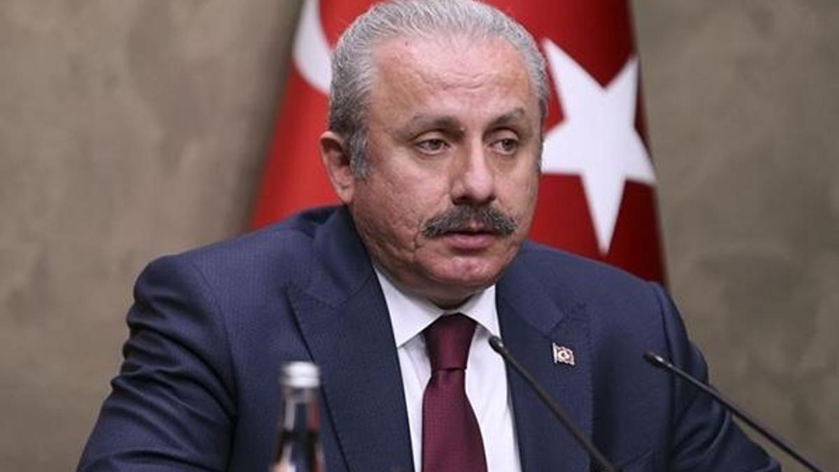 TBMM Başkanı Şentop'tan Siyasi Partiler Kanunu değişikliği açıklaması