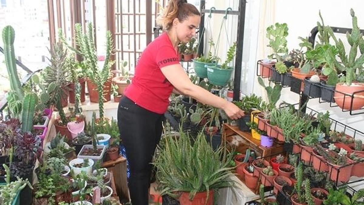 Evinin balkonunu kaktüs bahçesine çevirdi