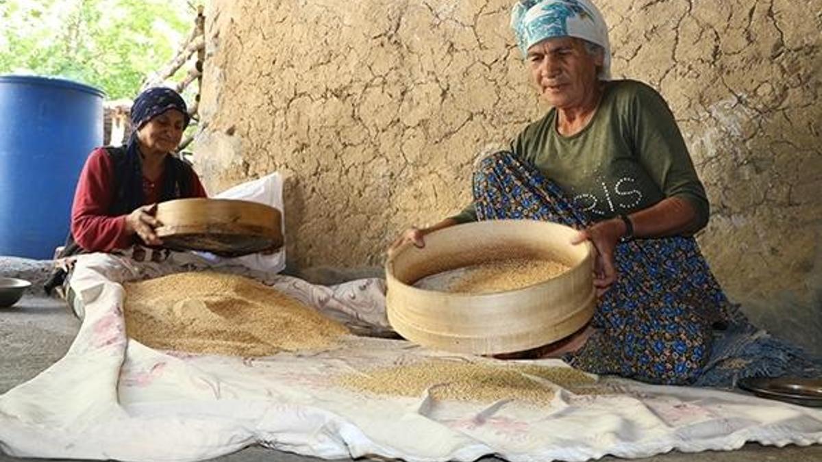 Asırlık taş değirmende tahin üretiliyor