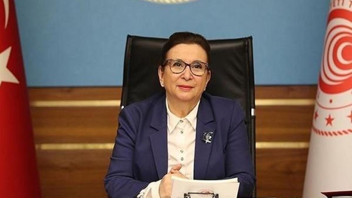 Şirketler ticaret sicili belgesi başvurusunu elektronik ortamda yapabilecek