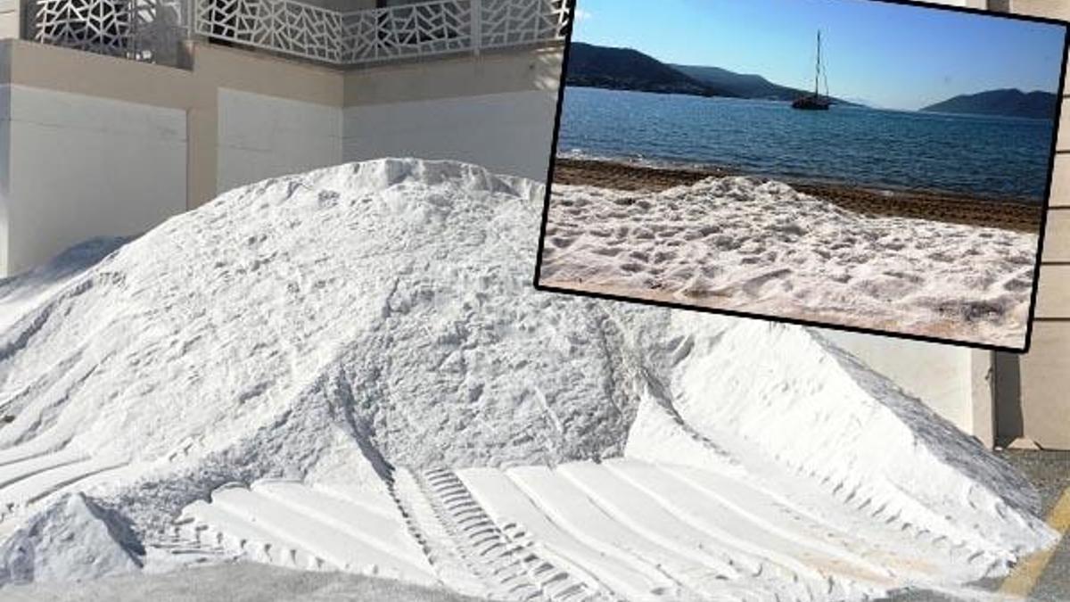 'Plajlara serilen kuvars tozu denizdeki yaşamı olumsuz etkiler'