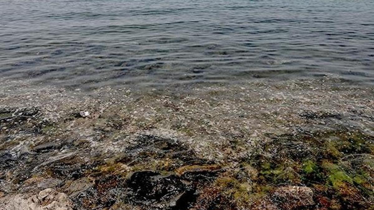 Bu kez Caddebostan... Deniz kıyısı pislik içinde