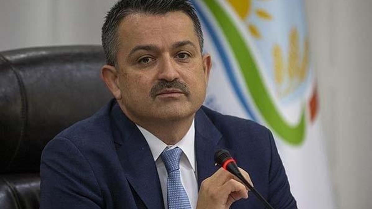 Bakan Pakdemirli: Tüm zararlar karşılanacak