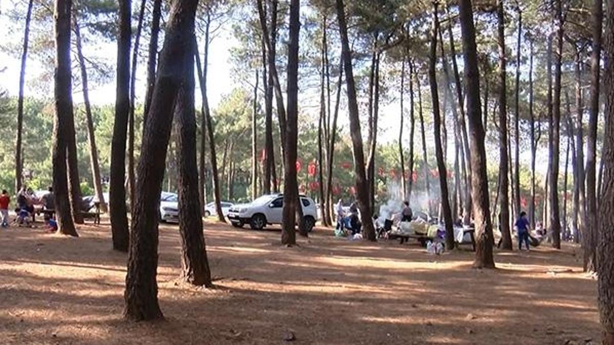 İstanbul için korkutan açıklama! Coronadan sonra 'Lyme' tehlikesi