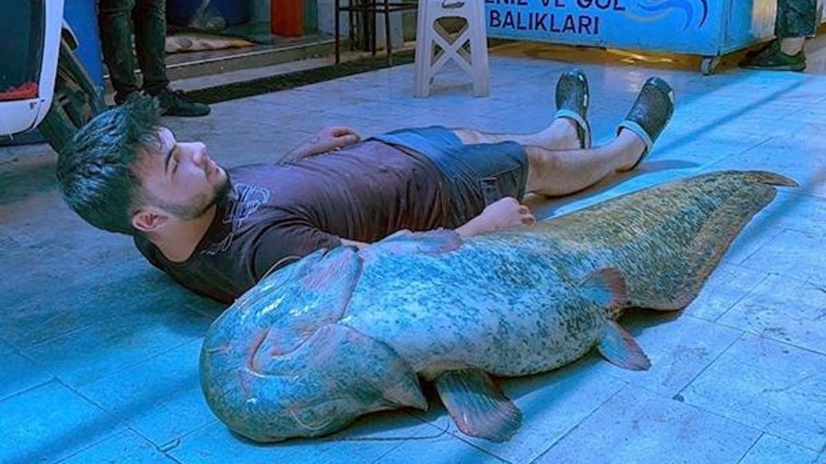 Gölde yakaladı, 21 bin liraya sattı!