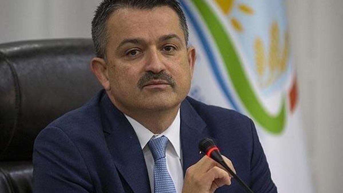 Noter aracılığıyla hobi bahçesi arazisi alanlara uyarı: Yıkılabilir