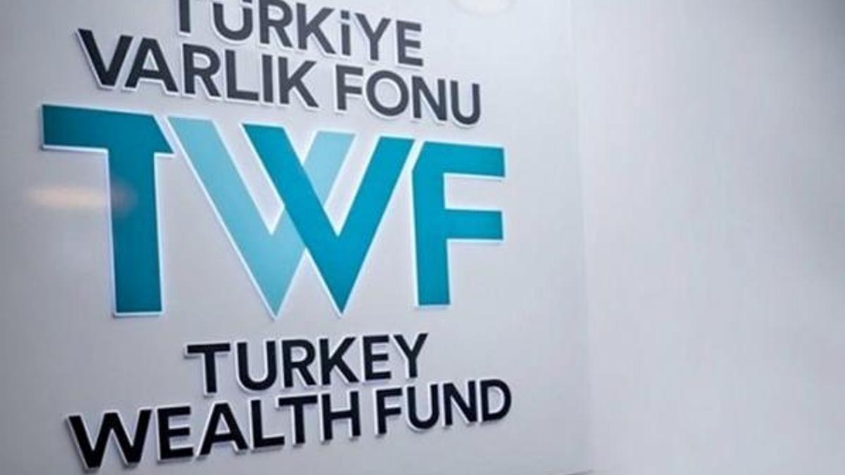 Türkiye Varlık Fonu nedir? Varlık Fonu ne zaman kuruldu, ne işe yarar?
