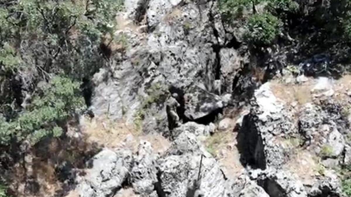 Pençe Kaplan Operasyonu 'ara-bul-yok et' parolasıyla sürüyor