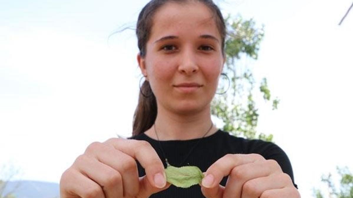 3 bin yılda bir çiçek açtığına inanılıyor
