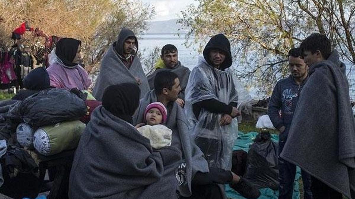 AB sığınma durumuna ilişkin 2020 raporu açıklandı! Türkiye açık ara ilk sırada