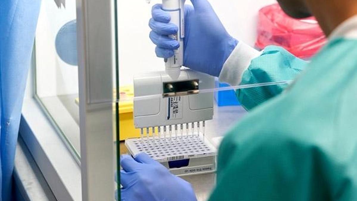 Sağlık Bakanlığı açıkladı! PCR testi ücreti belli oldu...