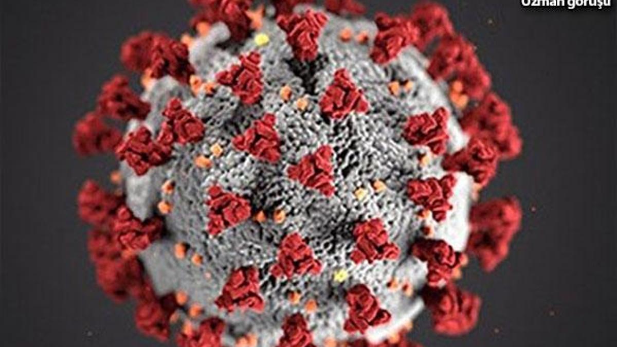 Uzmanlar uyardı: Koronavirüs ve cinsel yaşam
