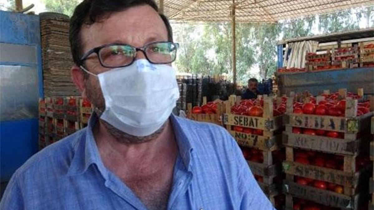 Sofralık domateste fiyat, üreticiyi sevindirdi