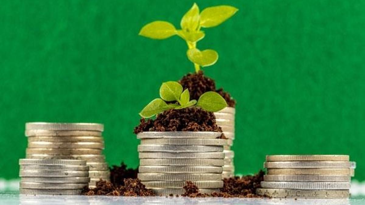 Çin 55,8 milyar dolarla "yeşil tahvil" liderliğini korudu
