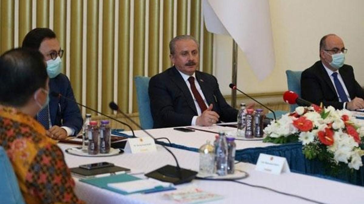 Şentop, Güneydoğu Asya Uluslar Birliğine üye ülkelerin büyükelçilerini kabul etti