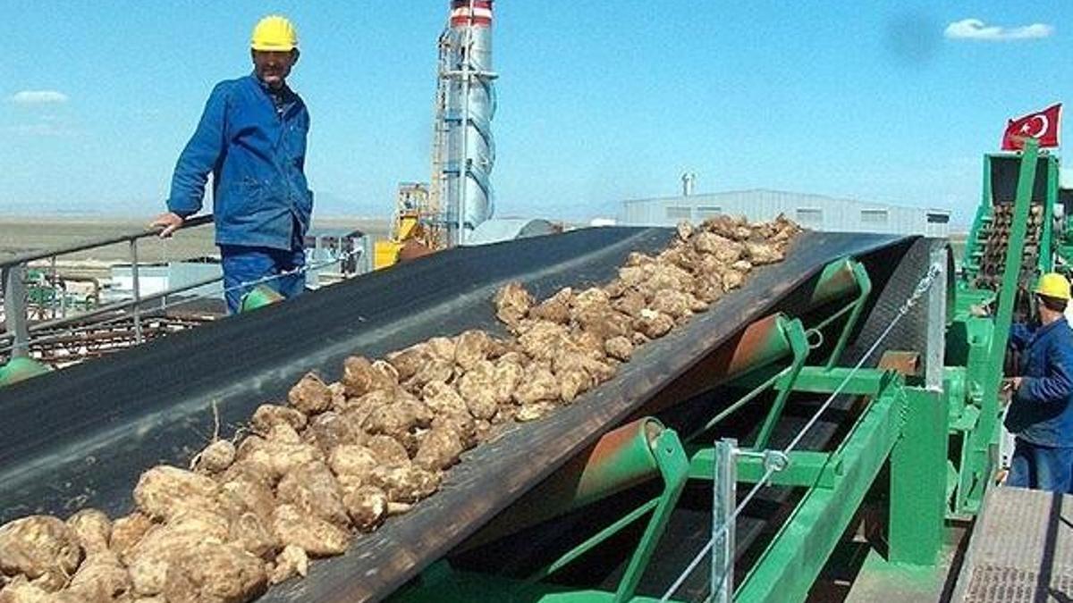 Şeker fabrikası işçi alımı başvuruları nasıl yapılır? Türkiye Şeker Fabrikaları işçi alımı yapacak!