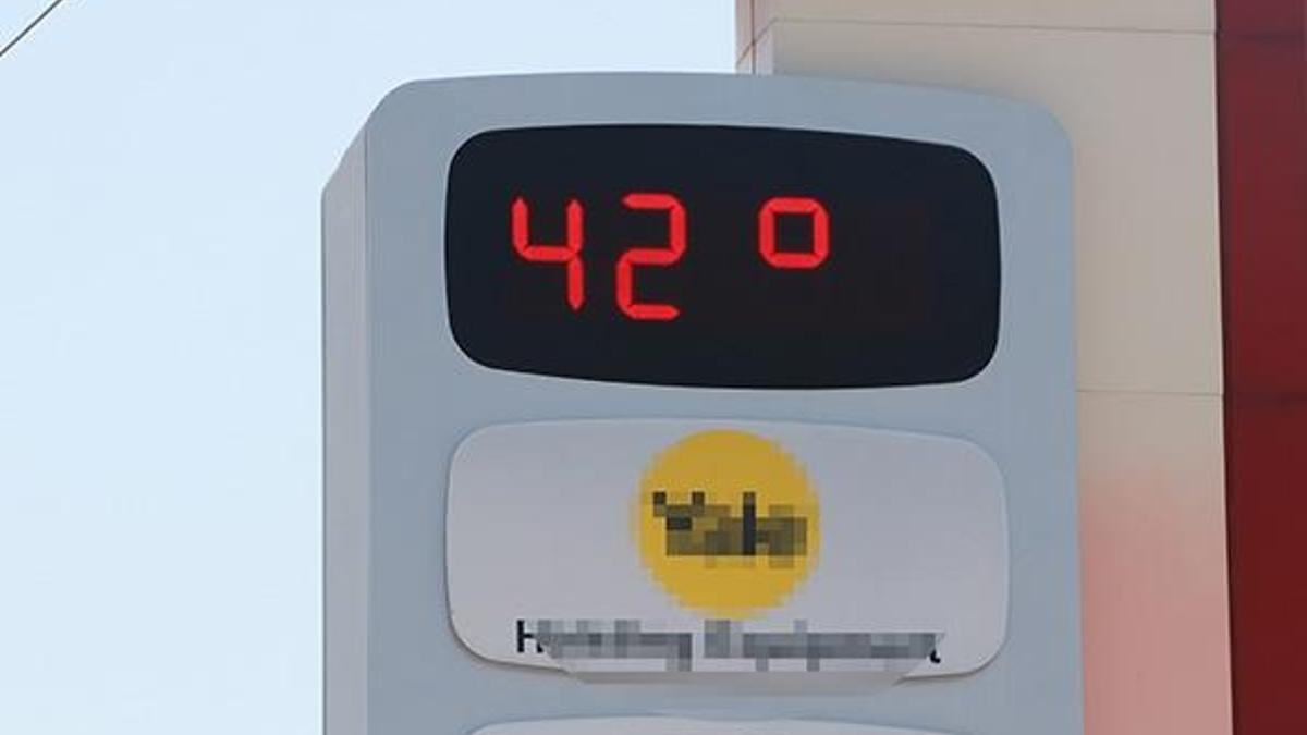 Termometreler 42 dereceyi gösterdi, vatandaşlar parklara akın etti!